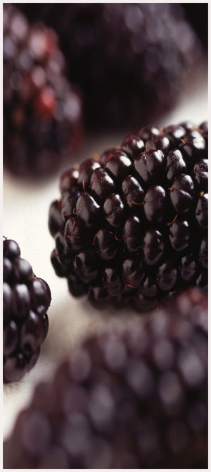 GM blackberries